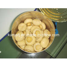 Canned Mushroom in Can with High Quality